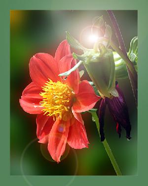 Лето - это отдых в Крыму!